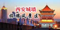 美女小穴的视频网站中国陕西-西安城墙旅游风景区